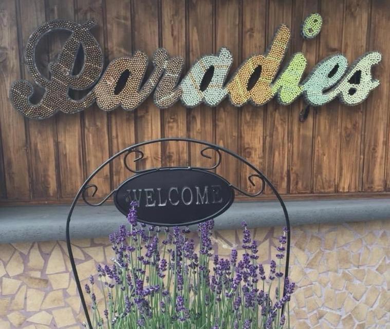 Hatzenporter Paradies Exterior photo